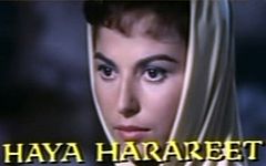 Харарит Хайя