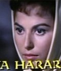 Хайя Харарит