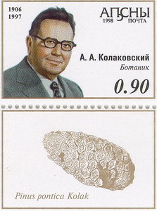 Колаковский Альфред Алексеевич